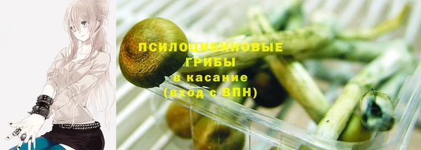 Альфа ПВП Няндома