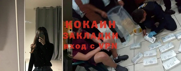 твердый Нягань