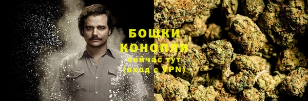 Альфа ПВП Няндома