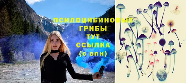 таблы Осинники