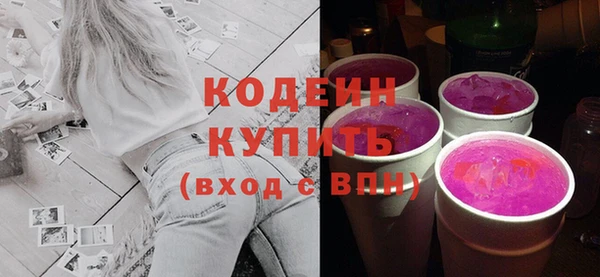 Альфа ПВП Няндома