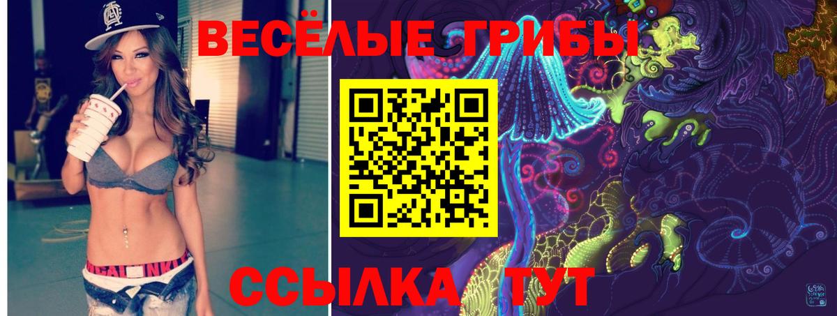 Галлюциногенные грибы мицелий  Галлюциногенные грибы GOLDEN TEACHER  Котлас 