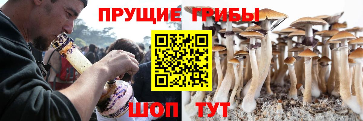 Псилоцибиновые грибы мухоморы  Вход с VPN  как найти закладки  Котлас 