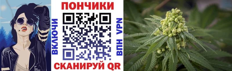 Марихуана конопля  OMG вход  Котлас  дарнет шоп 